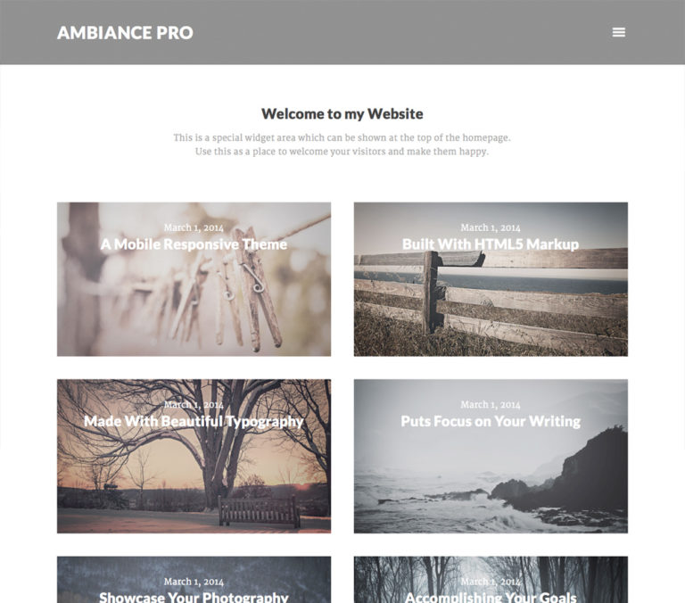 If your website is a party, then you're the host. You need a theme that gives your readers what they want most: you. Ambiance Pro places each visitor directly into a private conversation with you. Be the host you want to be with Ambiance Pro.