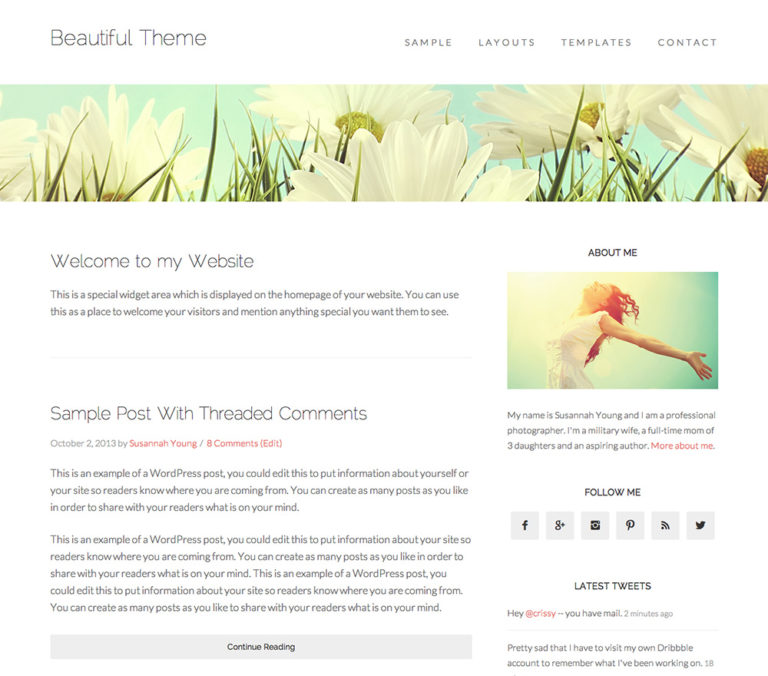 Beautiful Pro Theme for WordPress