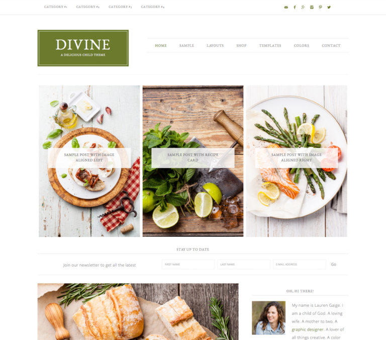 Versatility and Personalization is what we are about. The Divine theme is all that and more! This theme can be used for any genre of blog or site, can be customized to fit your images and style, and completely make it your own.