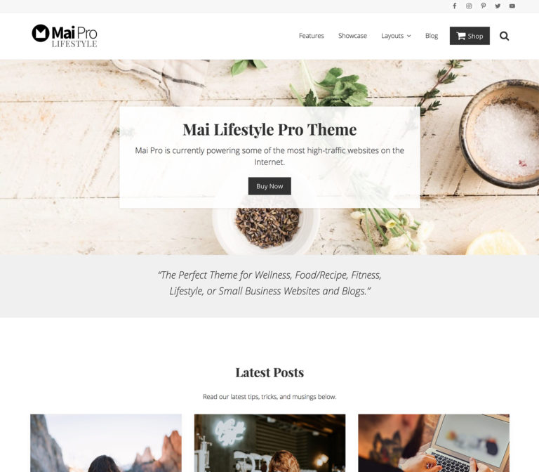The Perfect Theme for Wellness, Food/Recipe, Fitness and Lifestyle Sites. Choose from flexible image-rich layouts, including full-width sections and archive options that will make your content shine.