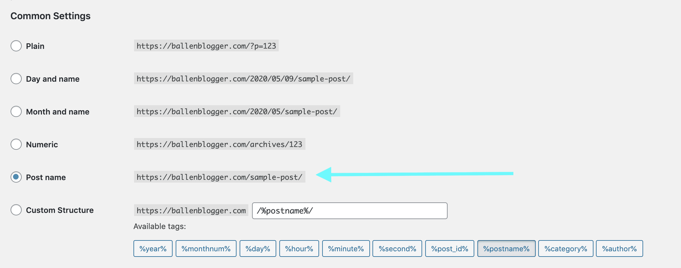 In WordPress, permalinks are the customizable part of your website's URLs that trail the domain name. 