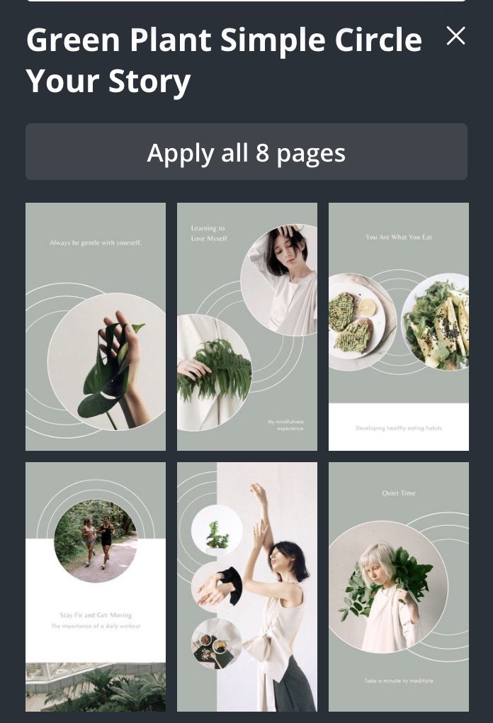 Sample Story Pin Templates on Canva