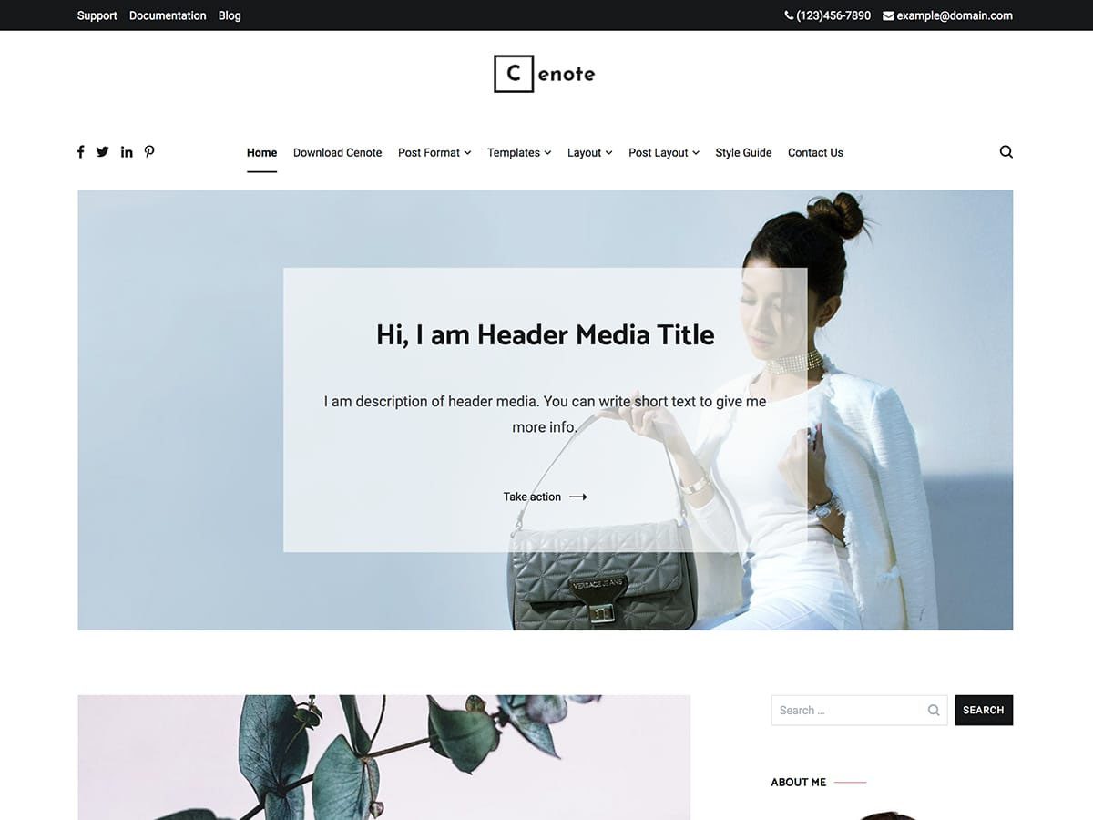Cenote is known for its minimalist design; however, it does have quite a few features. Ideal for blog posts, it has a clean layout that can also be used to monetize various features. 