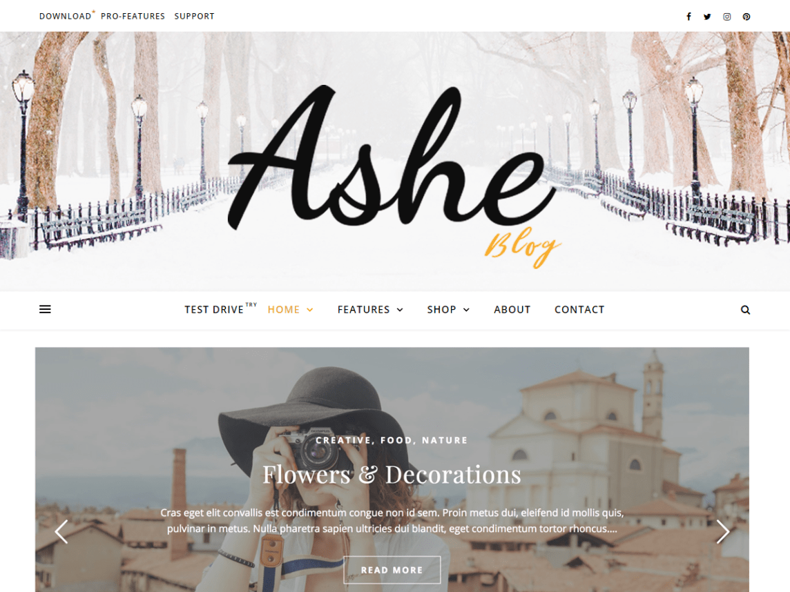 Ashe has been refined extensively during the past few years and has become one of the most popular free WordPress themes for bloggers. 