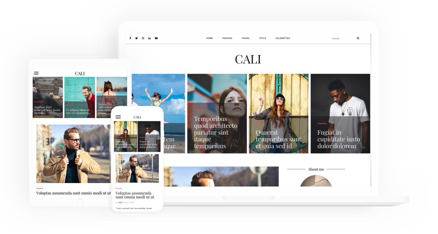 Due to the customization features, Cali is toward the top of the list for looking for a free theme.