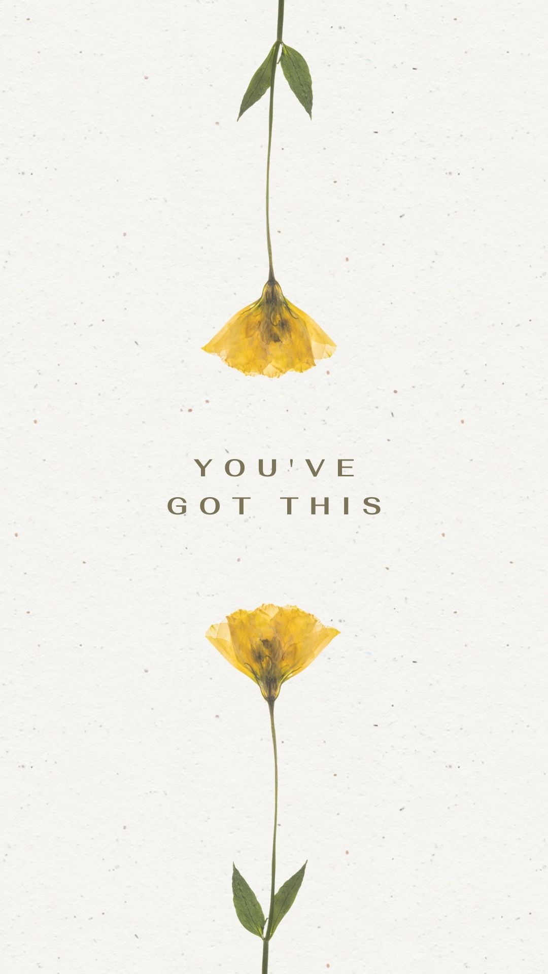 You've got this spring