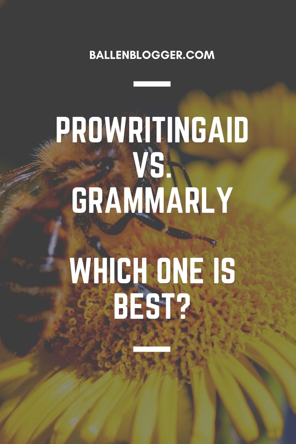 Many writers love using Grammarly or ProWritingAid to enhance their writing and check for spelling mistakes. Various people use these software platforms, including professional writers, journalists, students, freelancers, and people working in the corporate world. 
