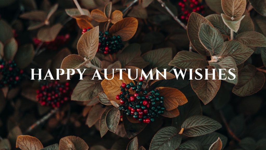 Happy Autumn Wishes is written accross a beautiful mix of fall leaves and berries