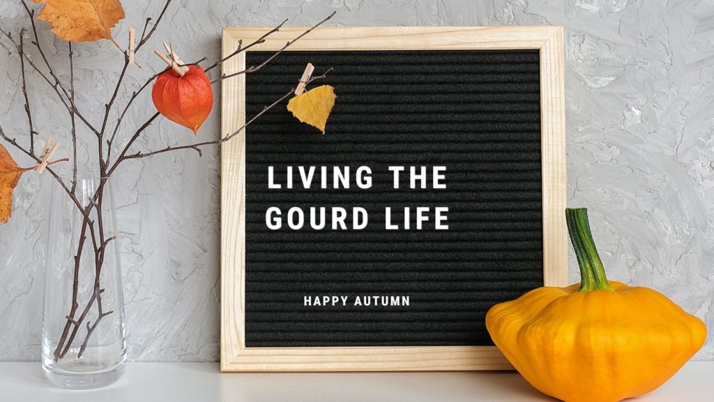 Chalkboard sign says living the gourd life happy autumn, and is next to a gourd and a vase of autumn leaves