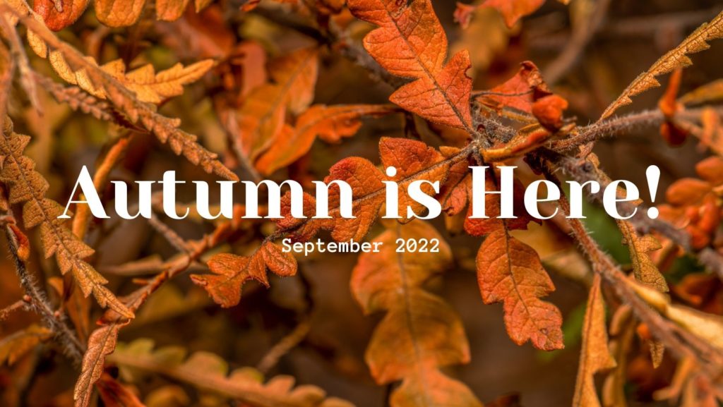 Autumn is here september 2022 is written across orange leaves