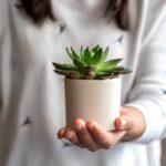 Here is a list of sponsor gift ideas to inspire you. There are many thoughtful ways to express gratitude when it comes to showing appreciation for sponsors and partners.
