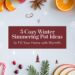 5 Cozy Winter Simmering Pot Ideas to Fill Your Home with Warmth
