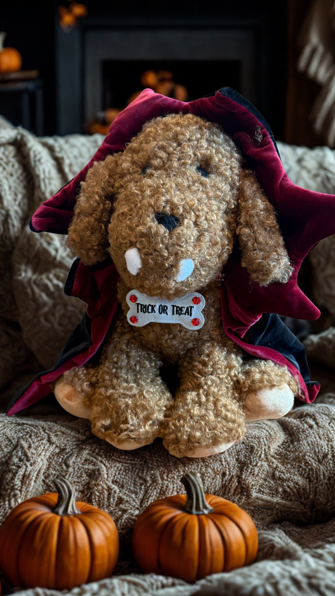 A plush, curly-haired dog dressed as a vampire sits cozily on a blanket, holding a Trick or Treat bone-shaped sign while small pumpkins complete its festive Halloween scene.