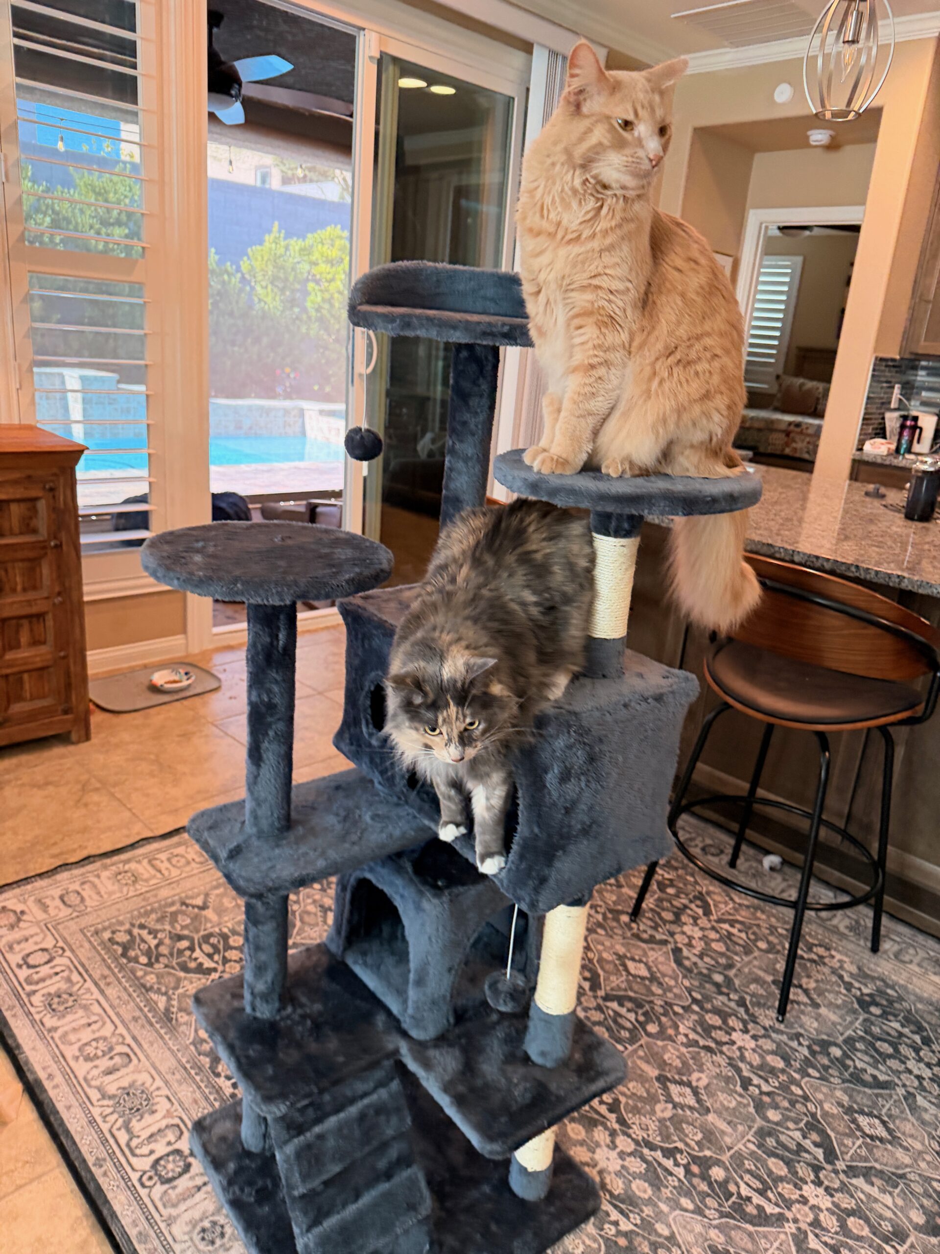 Stop your cat from scratching the furniture with a dedicated space they'll love! This cat tree offers multiple levels for climbing, jumping, and relaxing. The plush grey fabric matches any home decor, while the natural sisal scratching posts satisfy their natural instincts.  