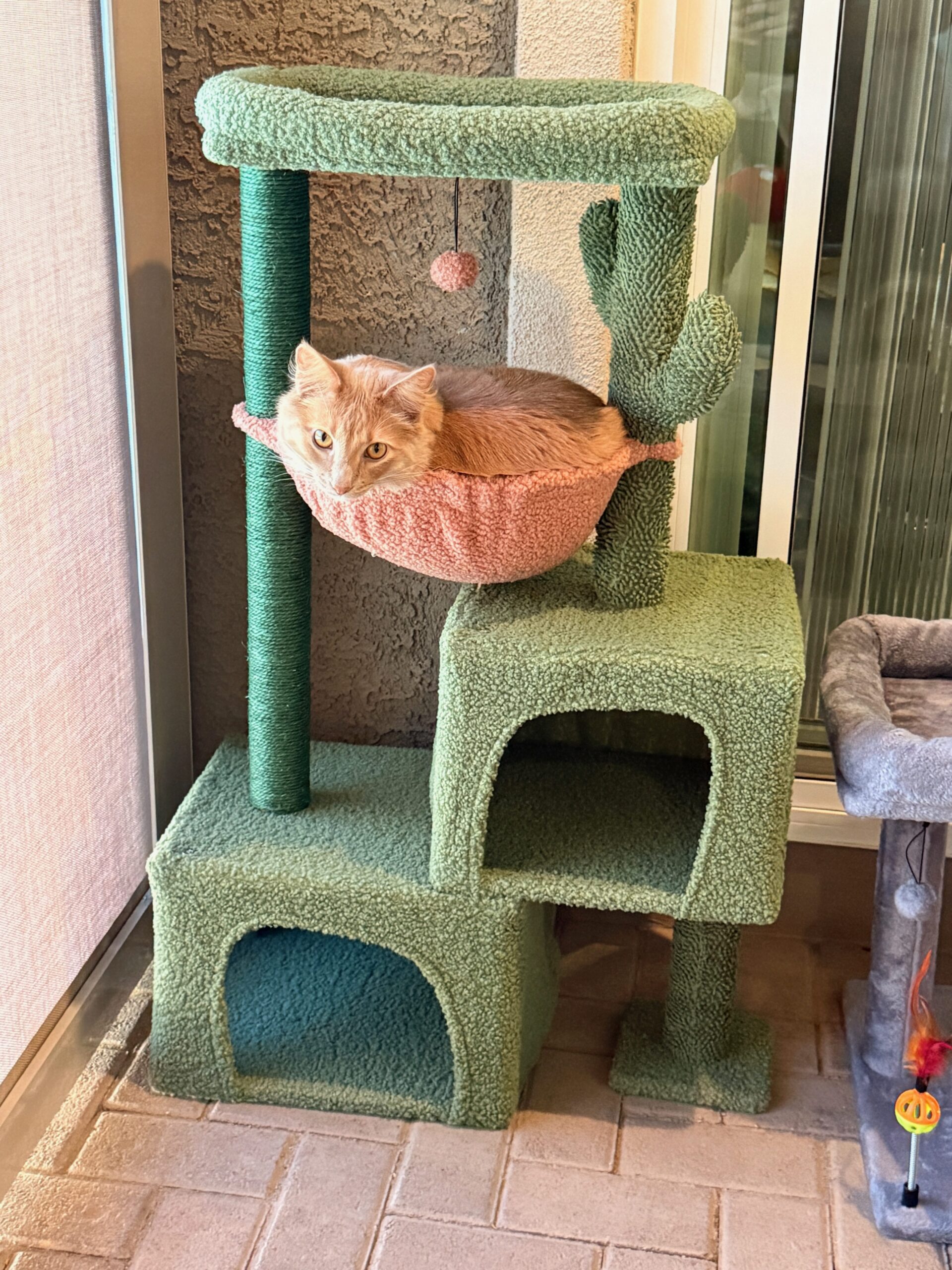 Add a touch of nature to your home with this unique cactus-inspired indoor cat tower. This all-in-one activity center features a vibrant green design that serves as a playful focal point in any room while providing your pet with a dedicated space to play and rest. It includes multiple levels, a cozy sleeping perch, and a soft hammock for ultimate comfort. Visit our blog to see how this themed furniture fits into different home styles.