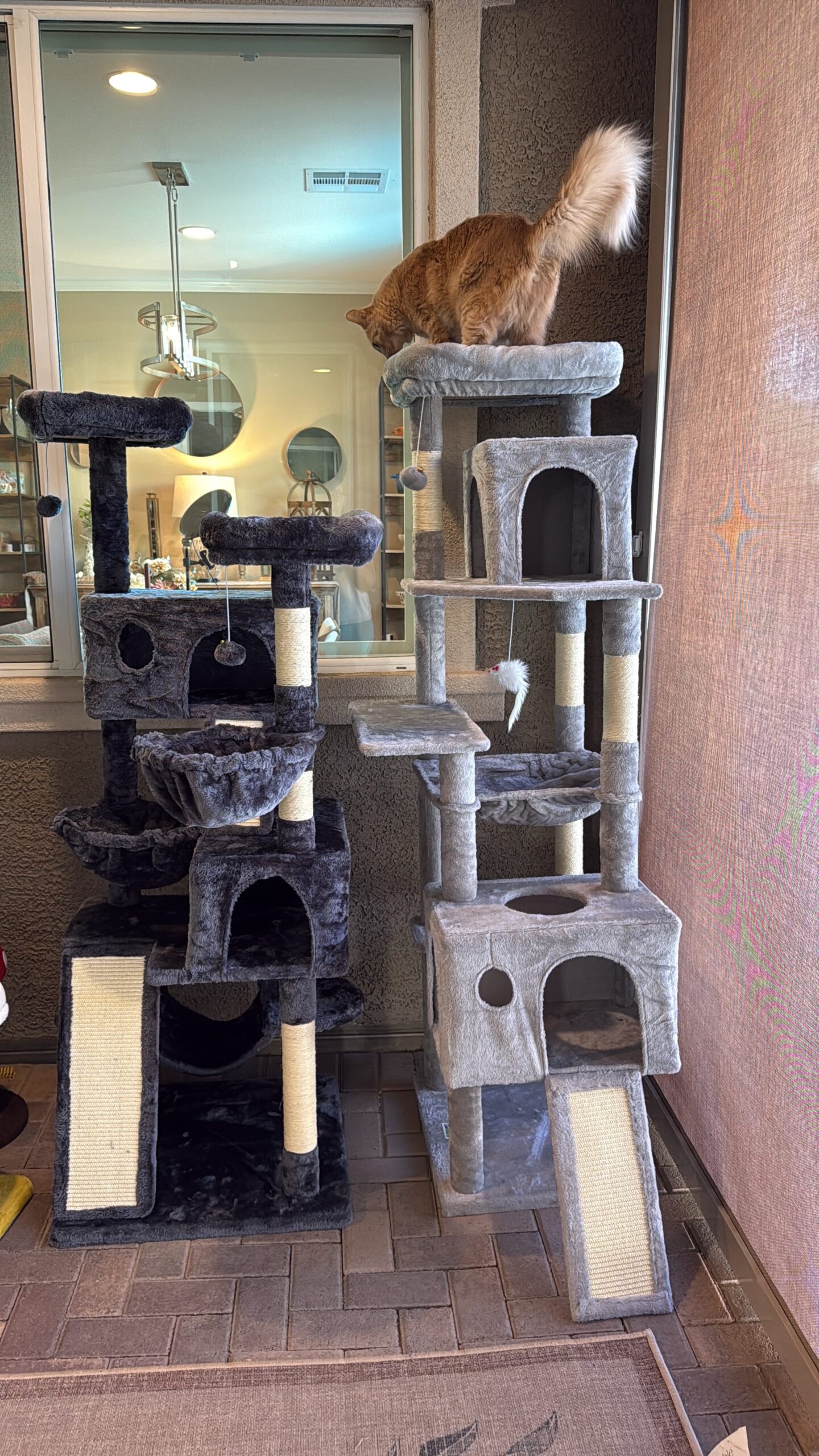 This 70-inch extra-large cat tower is designed to handle multiple active cats at once. It features a spacious square hammock, a private condo for hiding, and an enlarged top perch that provides a clear view of the entire room. The sturdy trapezoidal construction ensures stability even when large cats are jumping between levels. Visit the blog to see why this is a top-rated choice for families with multiple pets.