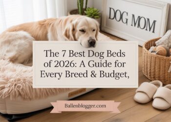 A golden retriever lounges on a cozy bed near toys, slippers, and a "DOG MOM" sign. Text spotlights 2026’s top dog beds guide.