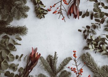 Flat lay with pine branches, eucalyptus, and red berries borders a soft grey background, open in the center for holiday design ideas.